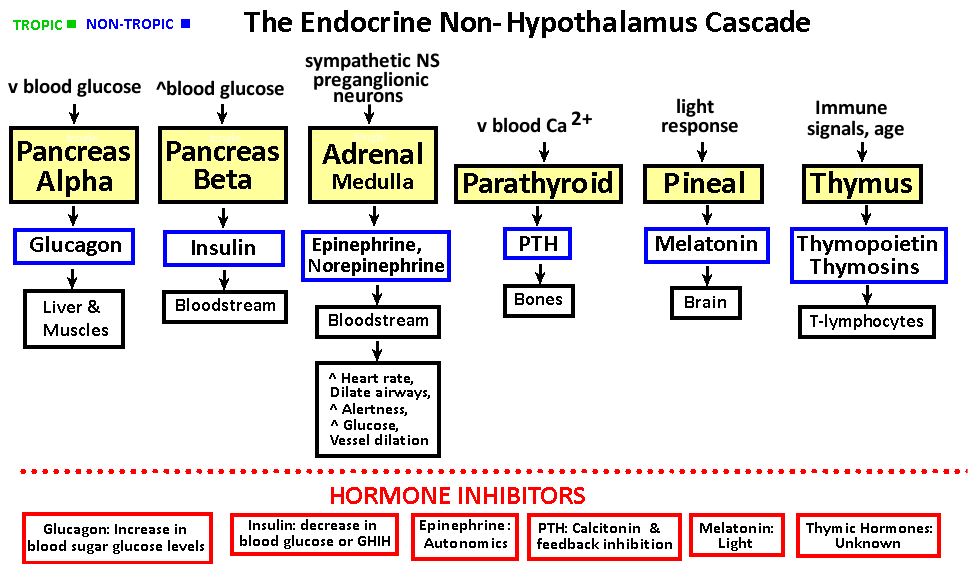 SORRY, NO IMAGE AVAILABLE